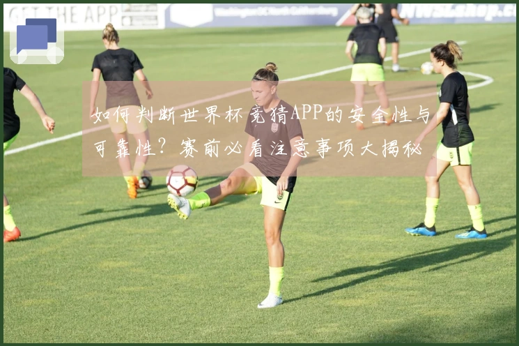 如何判断世界杯竞猜APP的安全性与可靠性？赛前必看注意事项大揭秘