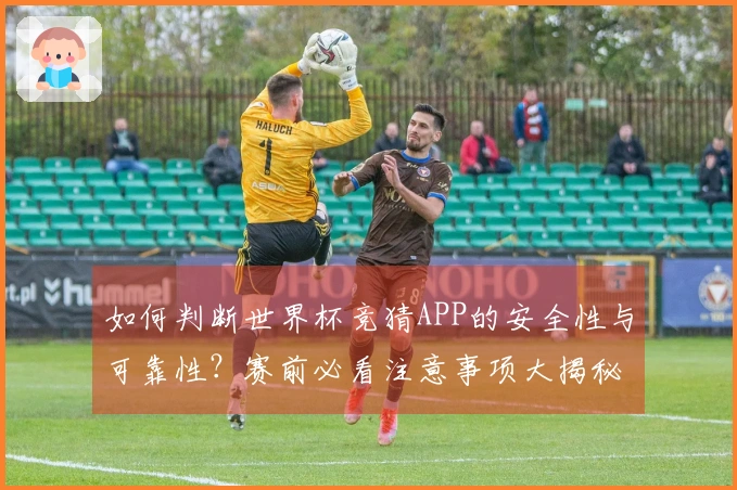 如何判断世界杯竞猜APP的安全性与可靠性?赛前必看注意事项大揭秘