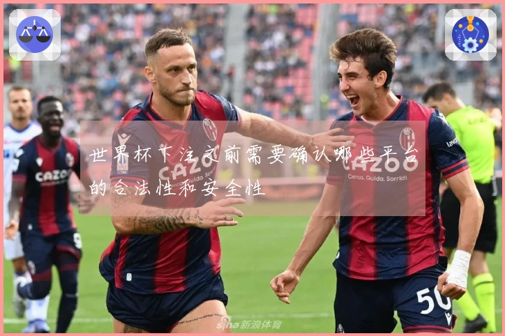 世界杯下注之前需要确认哪些平台的合法性和安全性